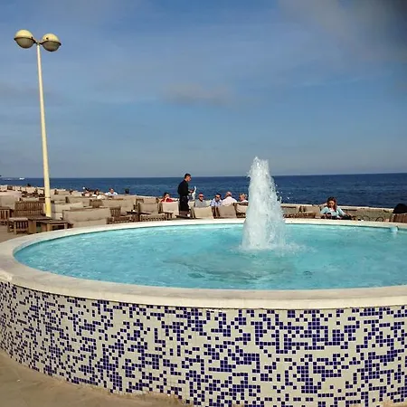 Maestro Parada Torrevieja